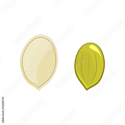 Vector pumpkin seeds. Vegetarian food or snack illustration. Pumpkin seeds isolated on white 