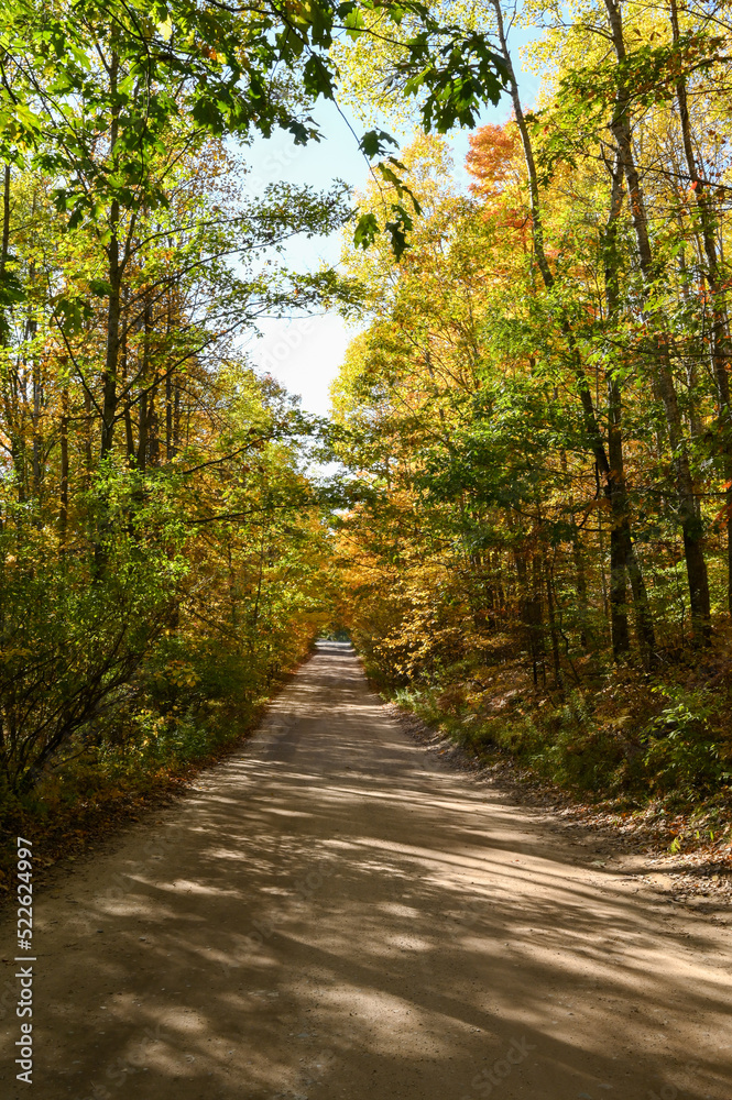 Deserted straight road through a green forest with some orange leaves in the fall.