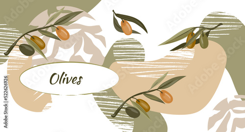 Olives banner backdrop and decorative background with olive plant vector illustration.