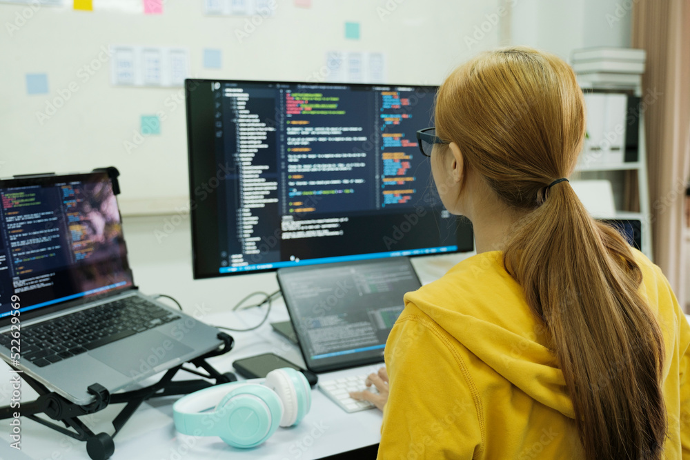 Programmer is coding and programming software. Programmer is coding and programming software.