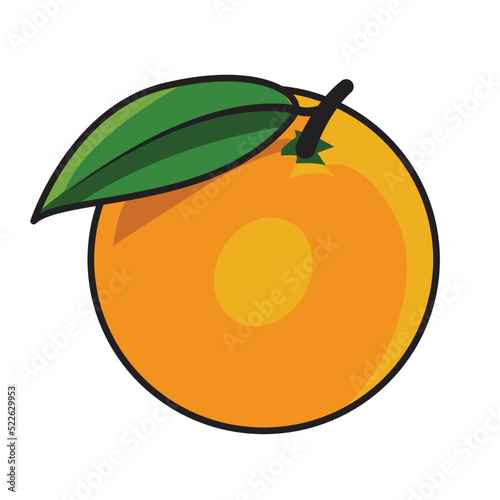 fresh orange fruit vector design