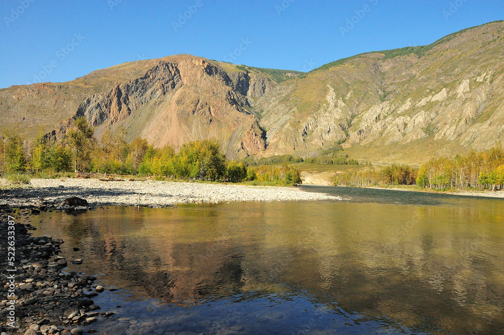 A large rocky bank of a beautiful mountain river with yellowed birches on the slope, flowing along the bottom of a deep canyon in the mountains. A large rocky bank of a beautiful mountain river with yellowed birches on the slope, flowing along the bottom of a deep canyon in the mountains.