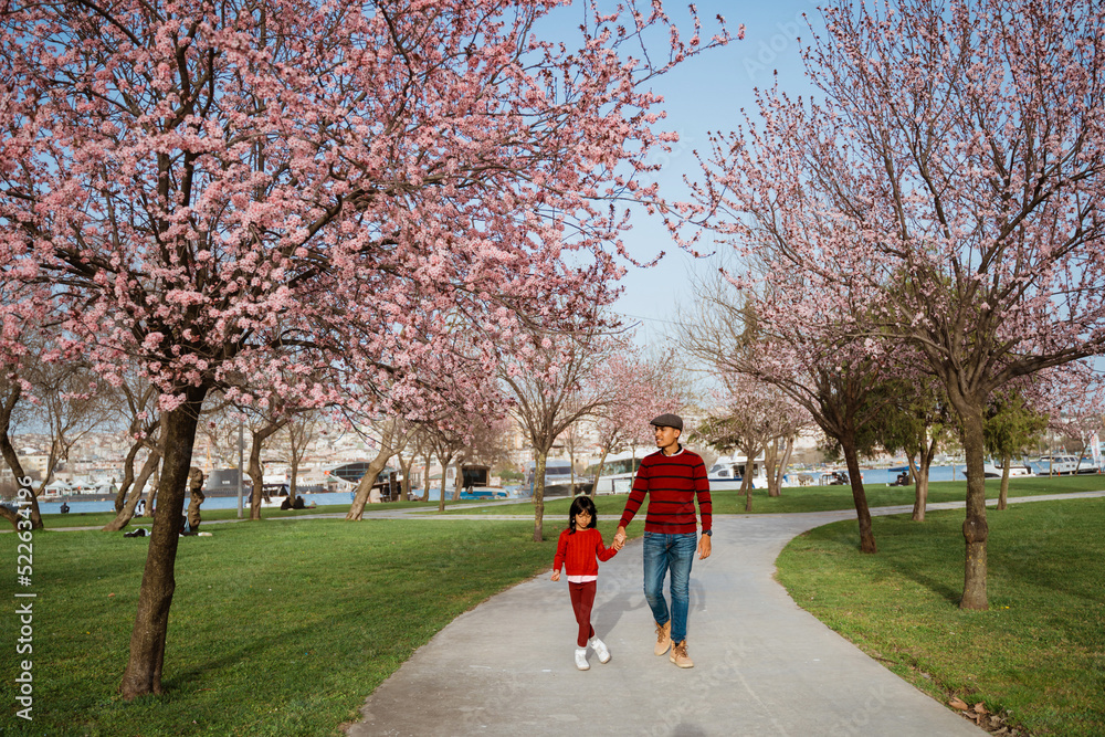 happy father and daughter looking at cherry blossom in the park happy father and daughter looking at cherry blossom in the park