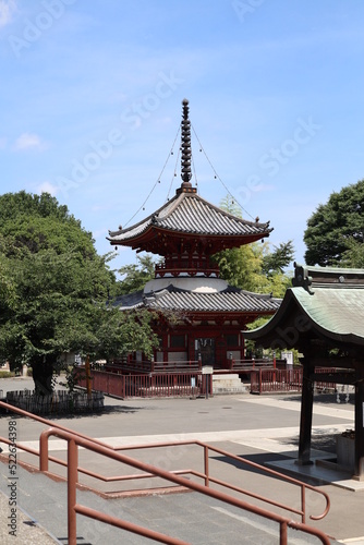 20220810 Japanese Summer