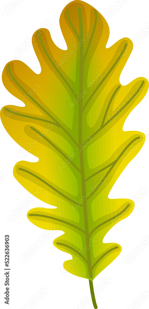 Autumn Leaf for Thanksgiving Decorative Element Autumn Leaf for Thanksgiving Decorative Element