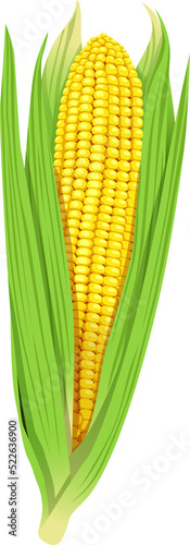 Corn for Thanksgiving Decorative Element