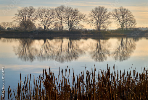 Iona Beach Regional Park Pond Reflection. Tree reflections in the pond and marsh in Iona Beach Regional Park. British Columbia, Canada.