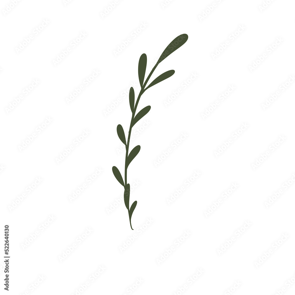 green branch with leaves green branch with leaves