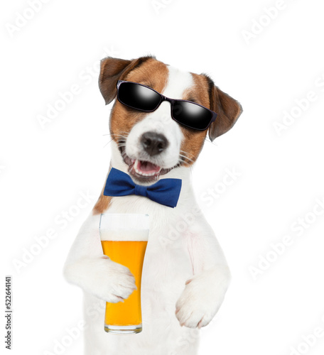 Jack Russell Terrier puppy wearing sunglasses and tie bow holds mug of the beer. isolated on white background © Ermolaev Alexandr
