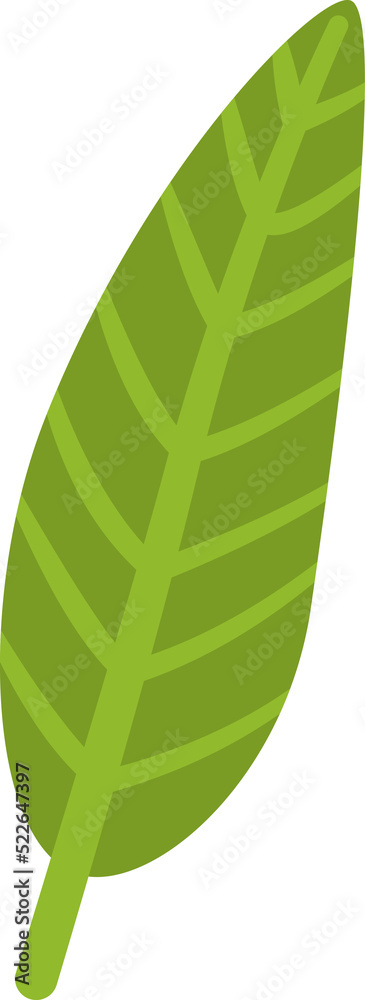 green leaf clipart green leaf clipart