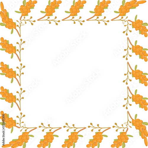 a square frame made of sea buckthorn branches for a poster of a postcard banner