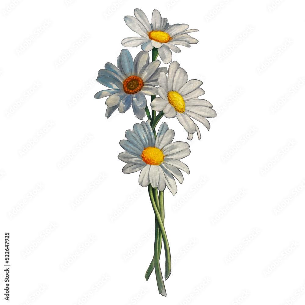 bouquet of daisies watercolor bouquet of daisies watercolor