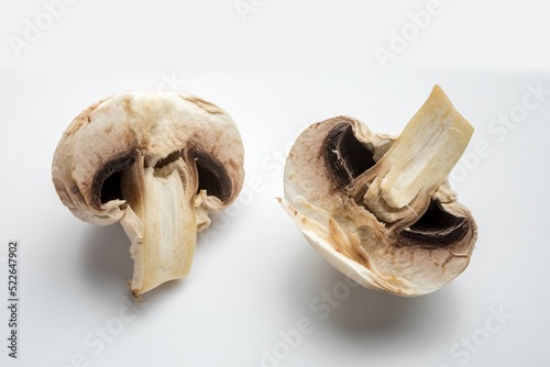 two halves of fresh champignon on a white background