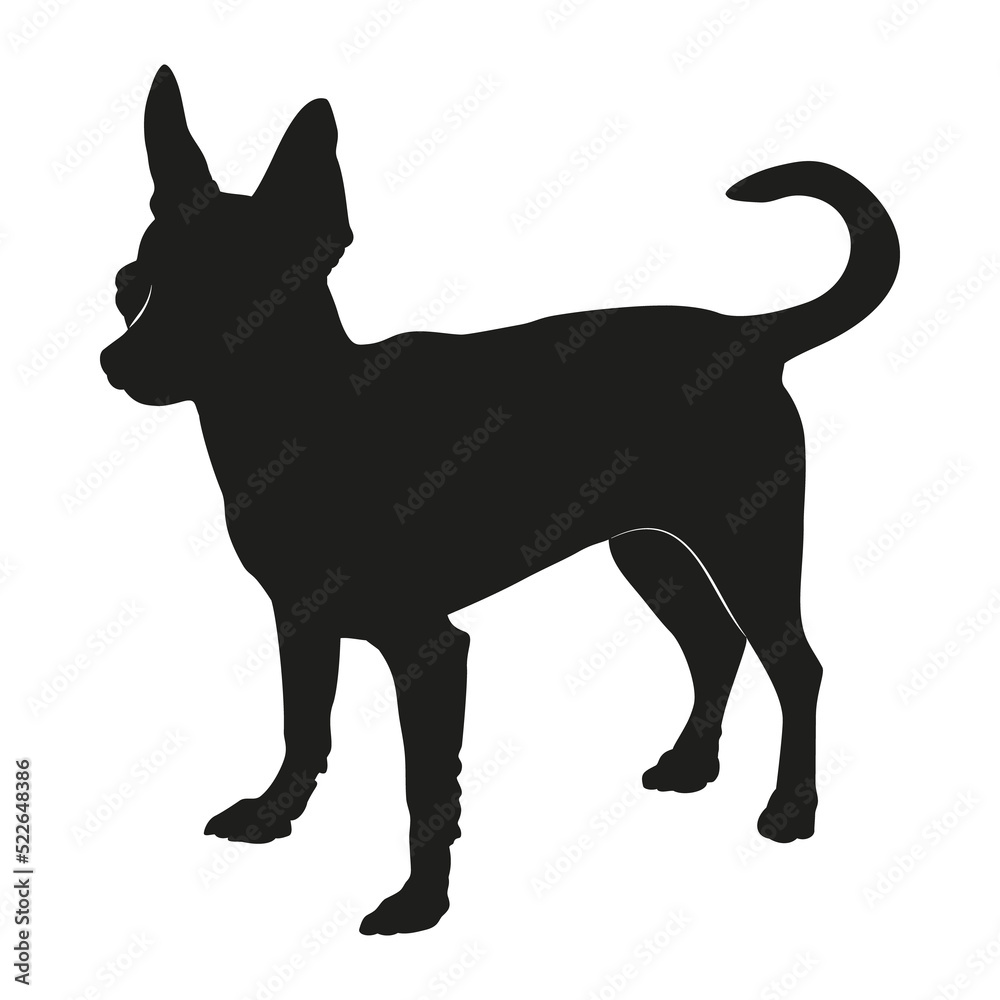 Chihuahua dog illustration. Chihuahua silhouette. 