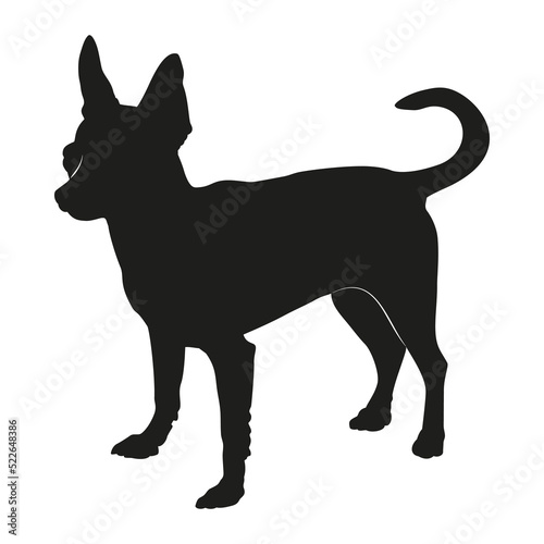 Chihuahua dog illustration. Chihuahua silhouette. 