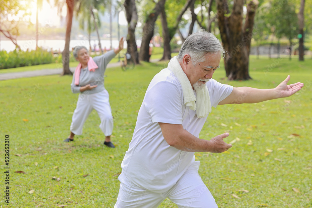 Asian senior couple practice yoga excercise, tai chi tranining, stretching and meditation together with relaxation for healthy in park outdoor after retirement. Happy elderly outdoor lifestyle concept Asian senior couple practice yoga excercise, tai chi tranining, stretching and meditation together with relaxation for healthy in park outdoor after retirement. Happy elderly outdoor lifestyle concept