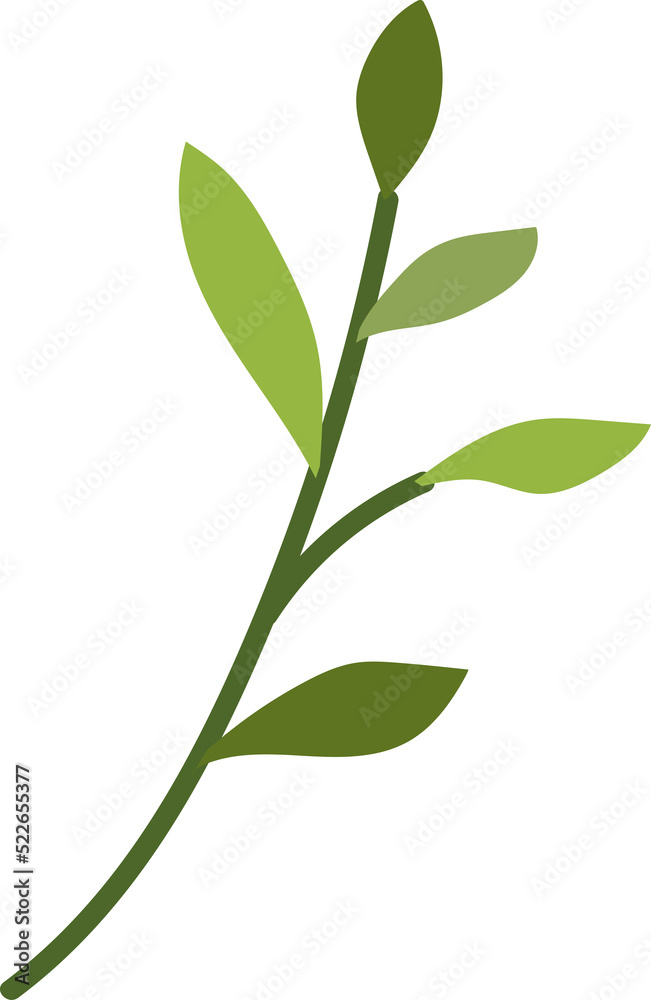 Hand painted leaves illustration Hand painted leaves illustration
