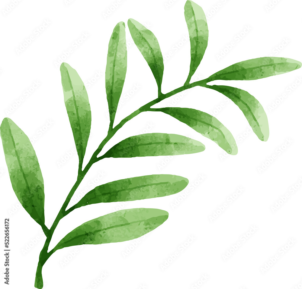 Fototapeta premium Leaves Watercolor Illustration