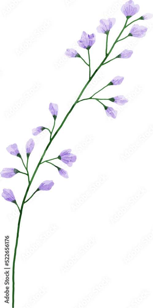 Watercolor Flower Illustration