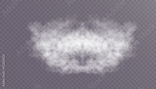 Translucent smoke or foggy cloud isolated on a transparent background. Abstract smoke texture explosion, smog fog effect. Realistic vector illustration.