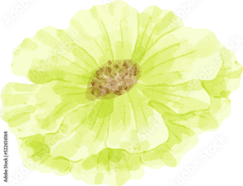 Fototapeta Naklejka Na Ścianę i Meble -  Watercolor Flower Cutout