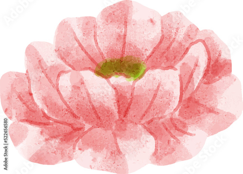 Fototapeta Naklejka Na Ścianę i Meble -  Watercolor Flower Cutout