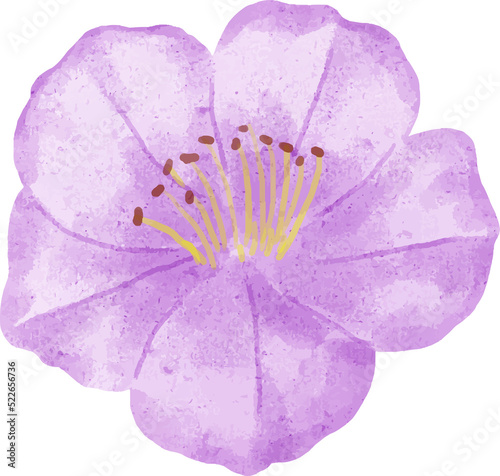 Fototapeta Naklejka Na Ścianę i Meble -  Watercolor Flower Cutout