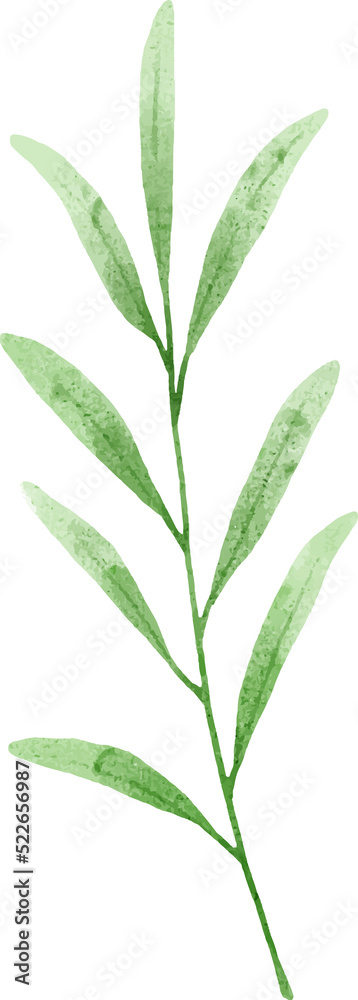 Naklejka premium Leaves Watercolor Illustration