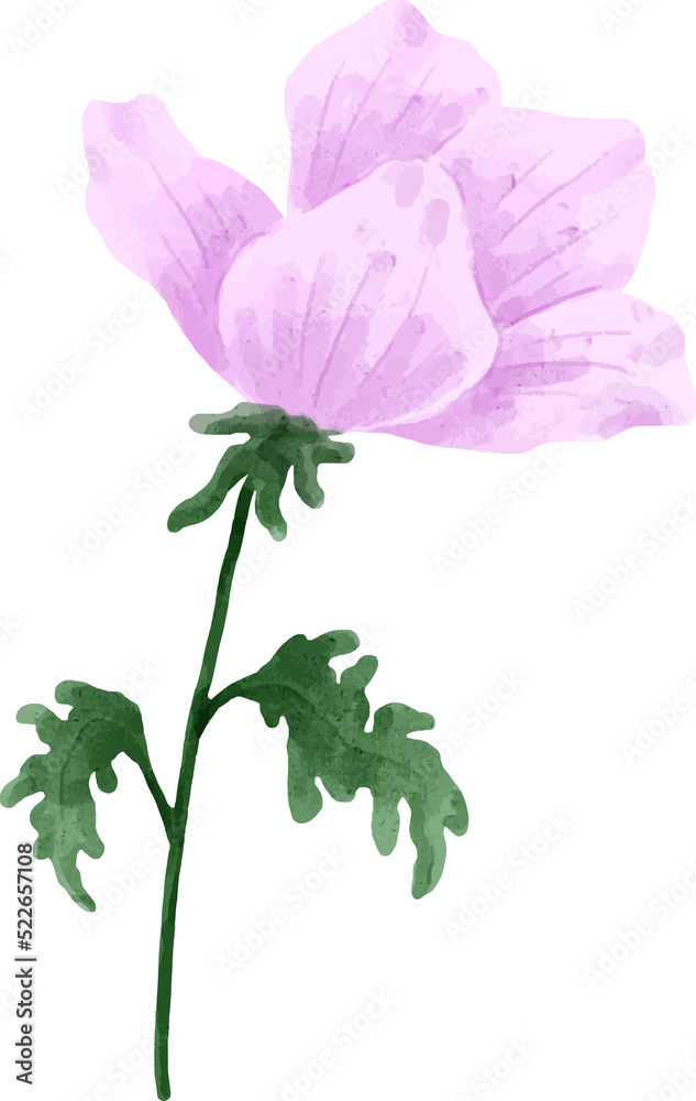 Fototapeta premium Watercolor Flower Illustration