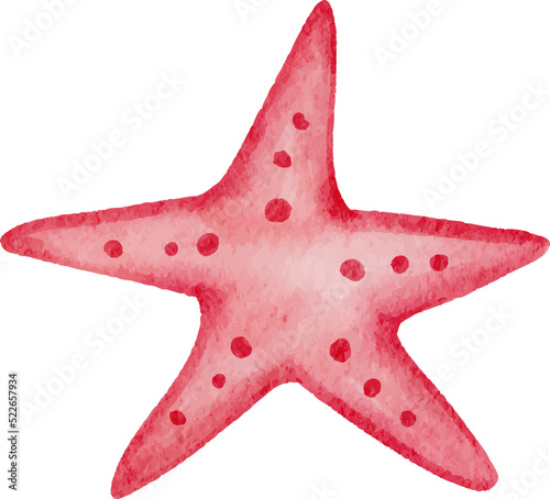 Watercolor starfish illustration