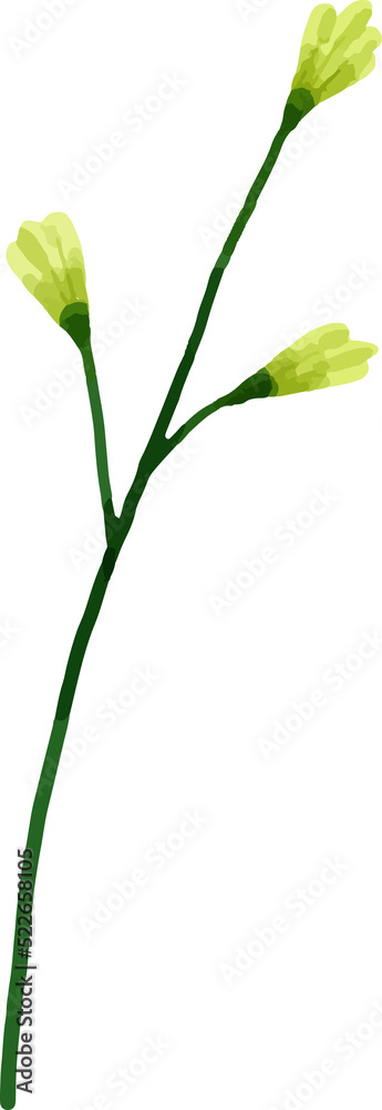 Fototapeta premium Watercolor Flower Bouquet