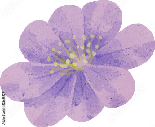 Fototapeta Naklejka Na Ścianę i Meble -  Watercolor Flower Cutout