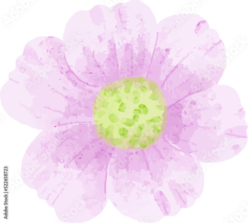 Fototapeta Naklejka Na Ścianę i Meble -  Watercolor Flower Cutout