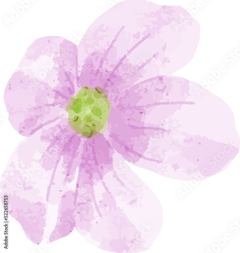 Fototapeta Naklejka Na Ścianę i Meble -  Watercolor Flower Cutout