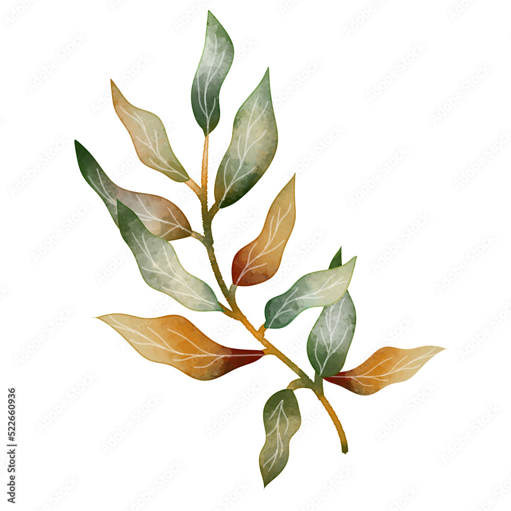 Leaves Watercolor Illustration PNG