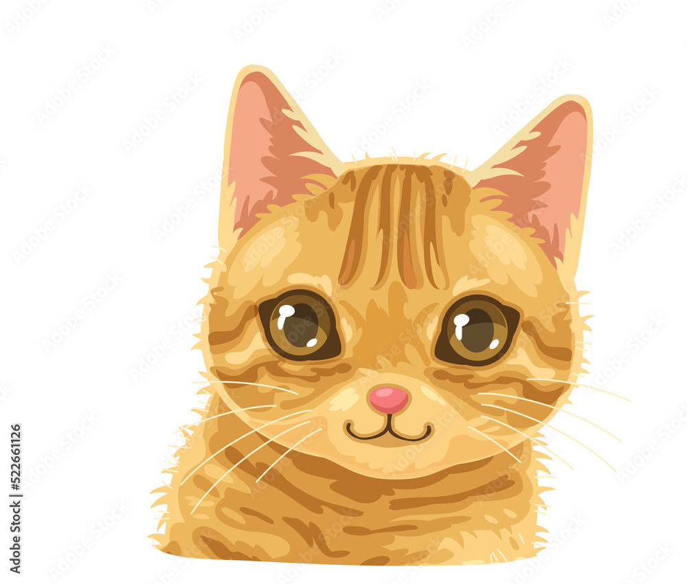 Fototapeta premium cat cute clipart