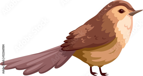 bird cute clipart photo