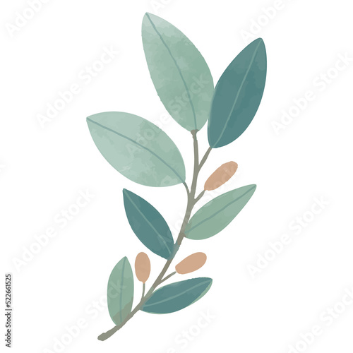 Watercolor Leaf  Green leaves clipart.