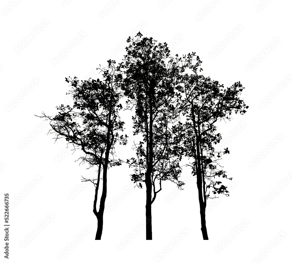 Tree silhouette for brush on white background.