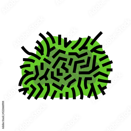 java moss color icon vector. java moss sign. isolated symbol illustration