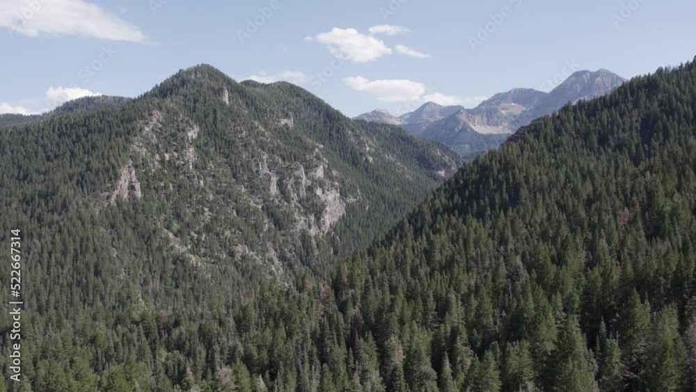 American Fork Canyon Wasatch Mountains on Summer Utah Day, Aerial Drone View American Fork Canyon Wasatch Mountains on Summer Utah Day, Aerial Drone View