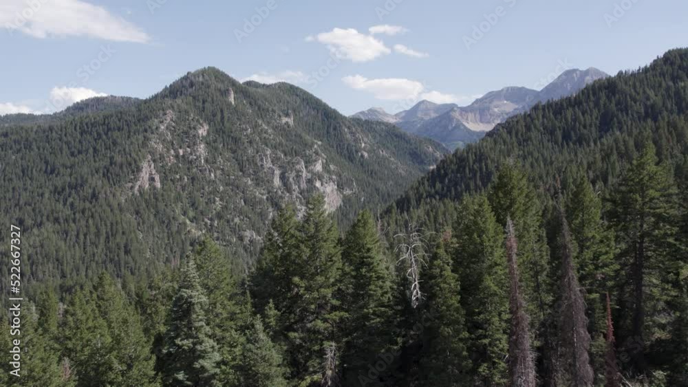 Aerial Flight over Beautiful Tall Peak Ridge in Utah's Wasatch Mountains Aerial Flight over Beautiful Tall Peak Ridge in Utah's Wasatch Mountains