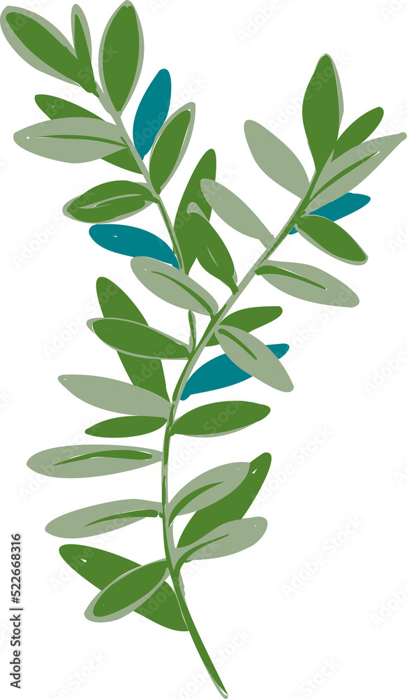 Hand drawn Meadow wild flower and leaves Hand drawn Meadow wild flower and leaves