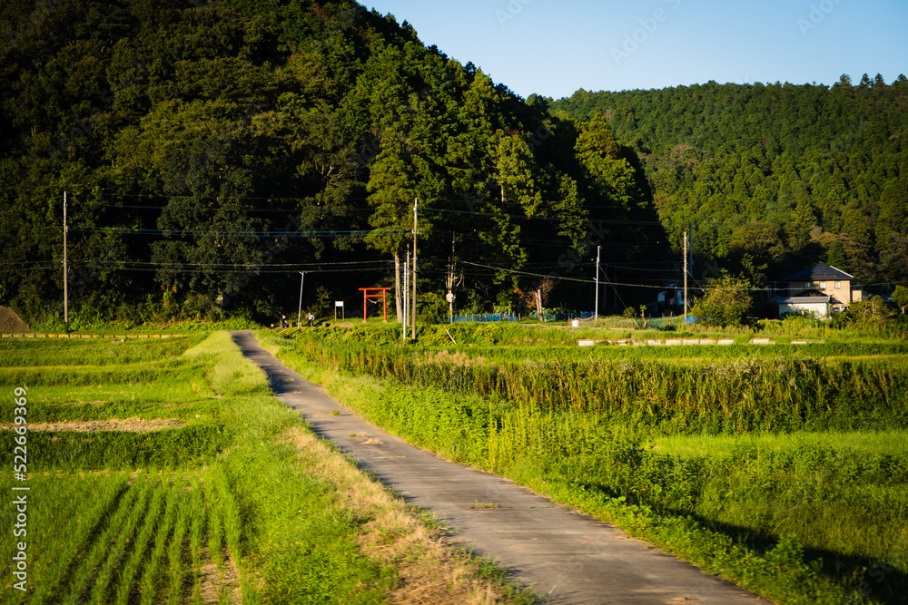 Fototapeta premium 田舎の風景 landscape