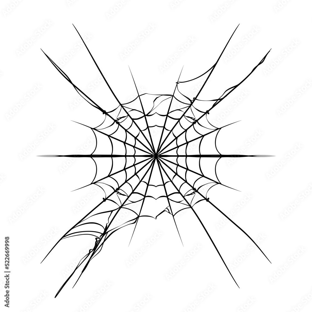 Obraz premium Spider webs element vector