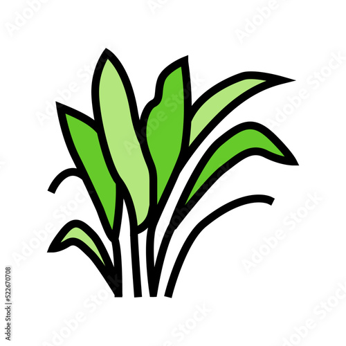 amazon sword color icon vector. amazon sword sign. isolated symbol illustration