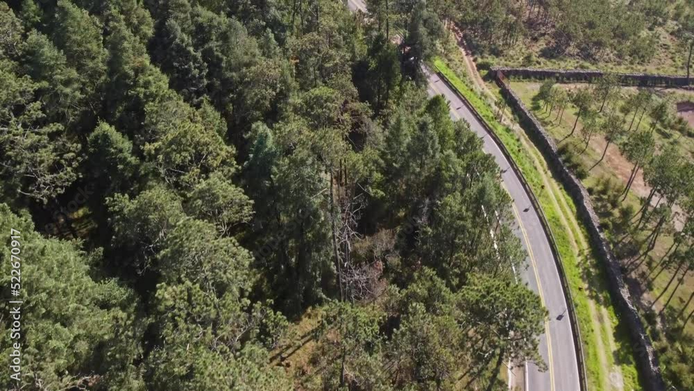 A truck full of logs is seen travelling down a hill covered forest road in Tlaxcala, Mexico, which is completely covered in lush greenery. A truck full of logs is seen travelling down a hill covered forest road in Tlaxcala, Mexico, which is completely covered in lush greenery.