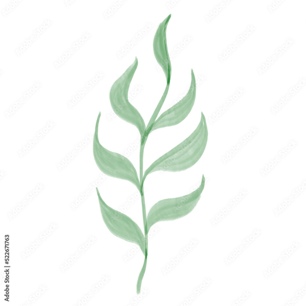 Fototapeta premium flower watercolor 