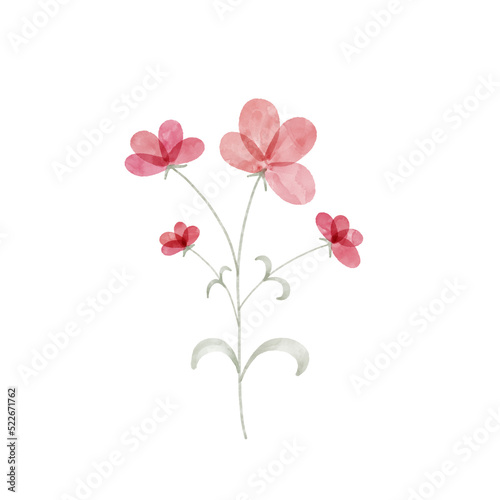 flower watercolor 