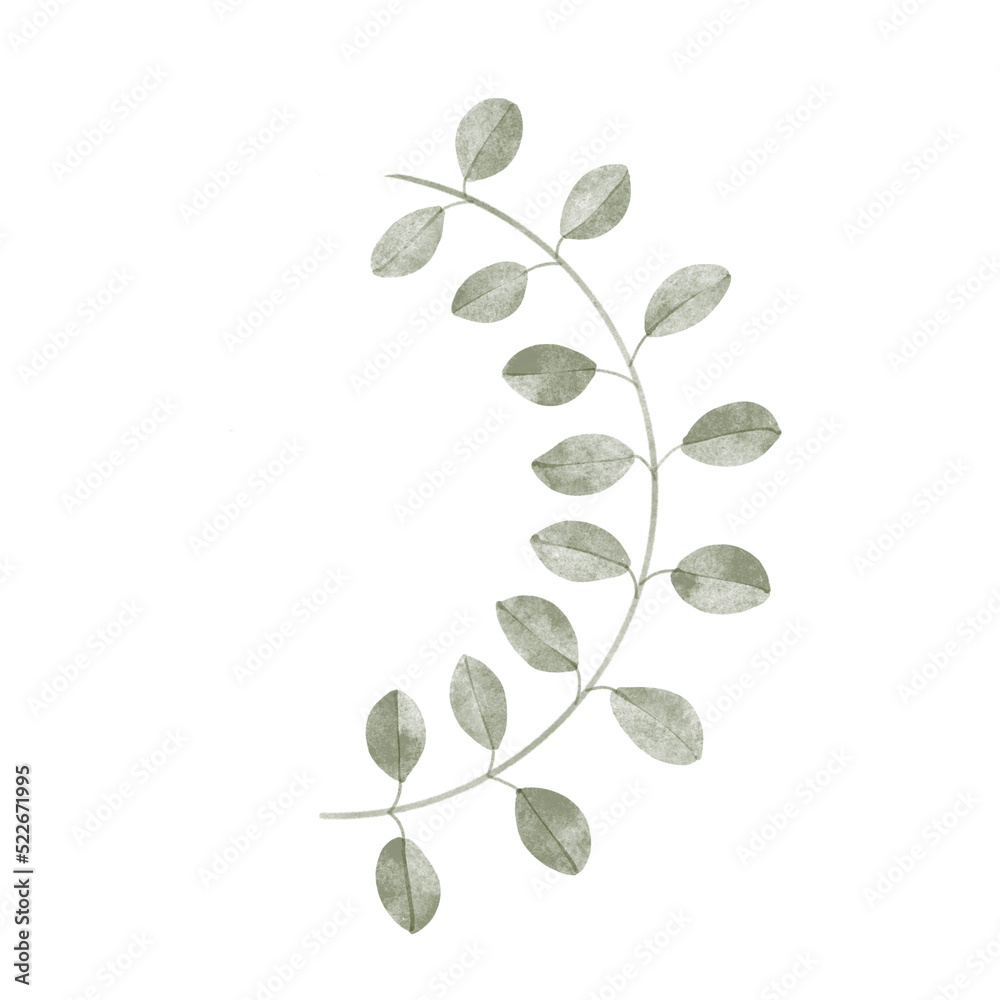 Obraz premium leaf in watercolor